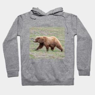 Mother Grizzly Bear Side View Hoodie